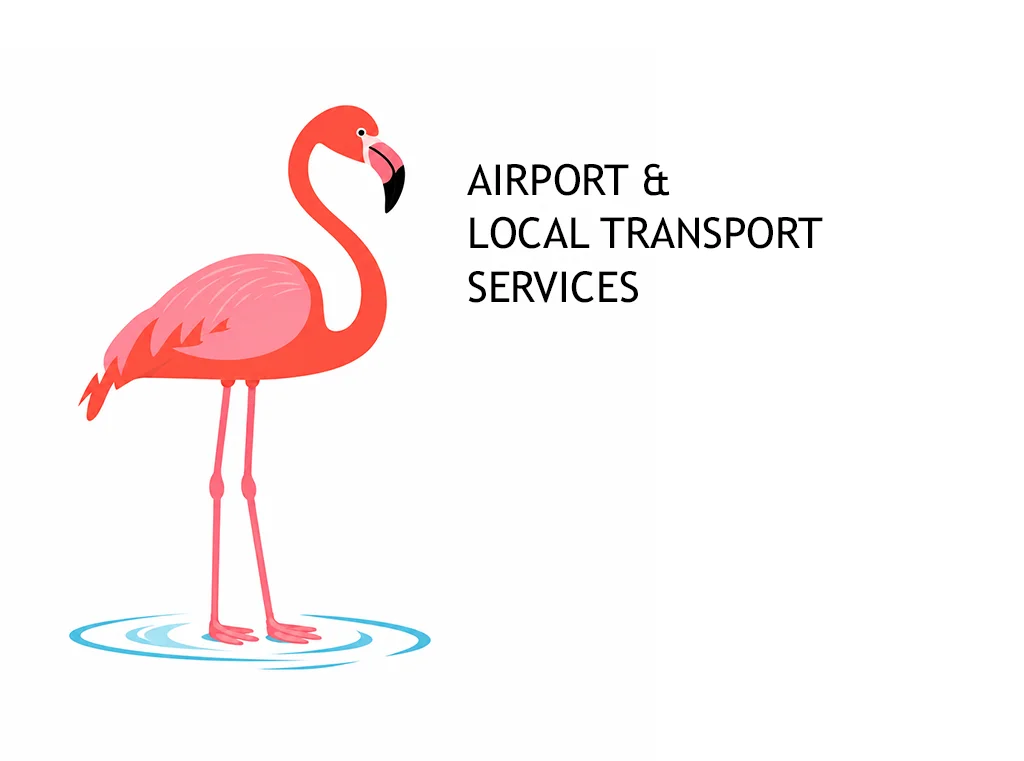 flamingo rides